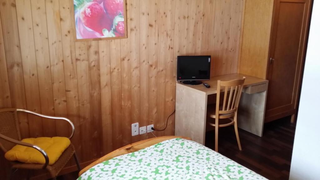 Hotel Restaurant Walliser Sonne Reckingen Cameră foto